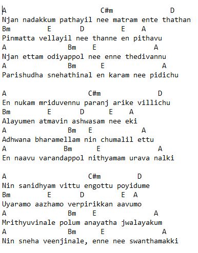 Njan Nadakkum Pathayil